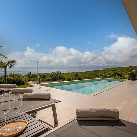 Villa Ameli Apartment With Swimming Pool Rijeka Eksteriør bilde